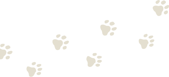 object