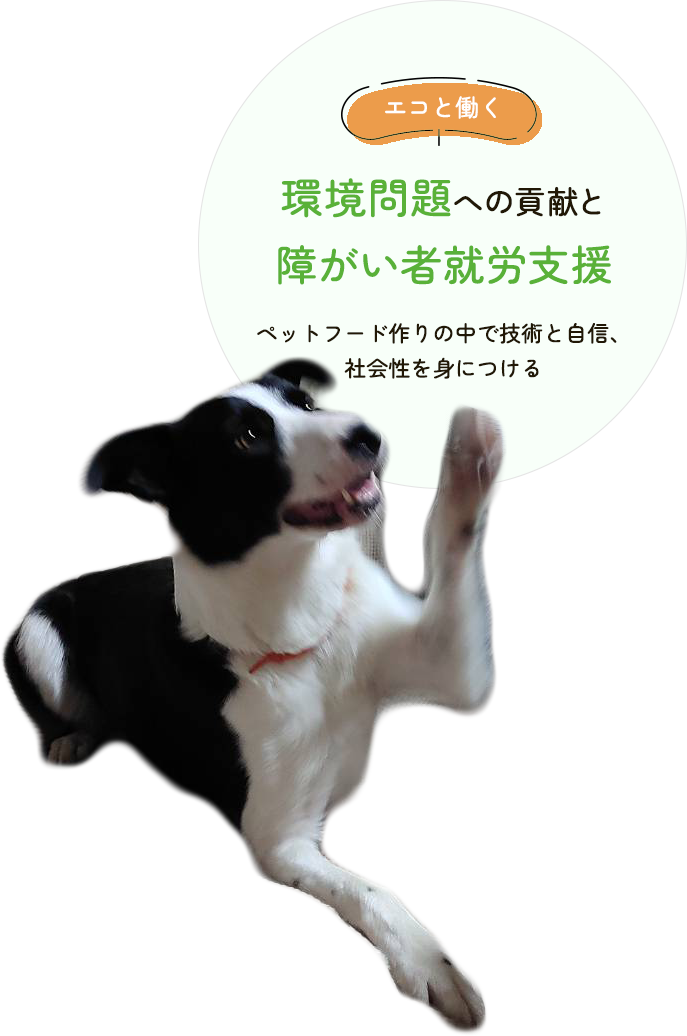 環境問題への貢献と障がい者就労支援