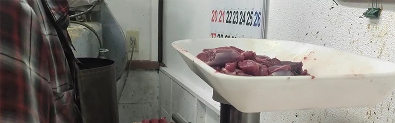 鹿肉のチェック